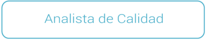 Analista-de-calidad Analista-de-calidad